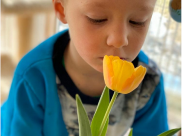 Frühlingserwachen, Foto: Karin Rieger