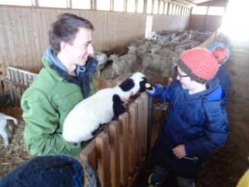 Josef zeigt uns den Schafnachwuchs