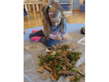 Sortieren der gefundenen Schätze; Foto: Lisa Galler