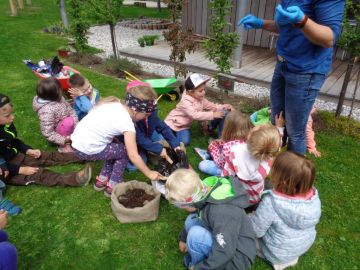 Kartoffeln im Sack - Naschgarten