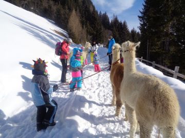 Foto: Angelika Pamminger