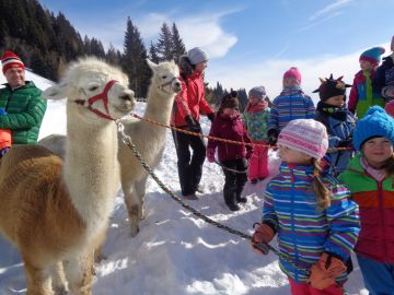 Foto: Angelika Pamminger