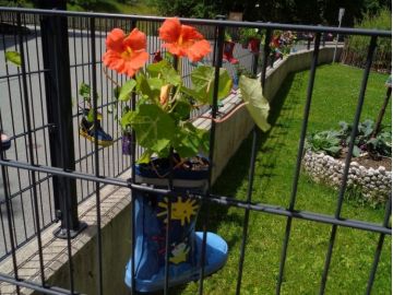 Belebter Zaun Foto: KG Bramberg