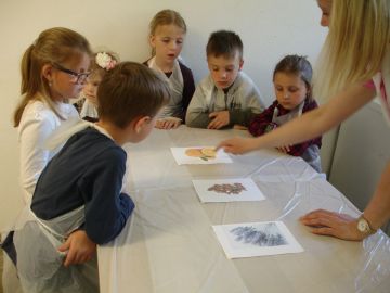 Betrachten und Besprechung der einzelnen Blumen Foto: Barbara Schnell