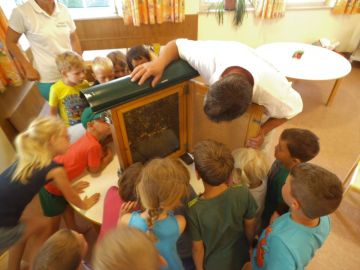 Der Schaubienenstock