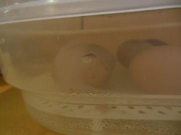 Foto: Viktoria Wenninger