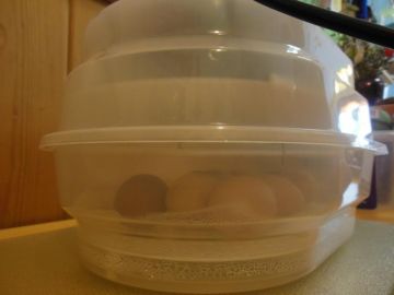 Foto: Viktoria Wenninger