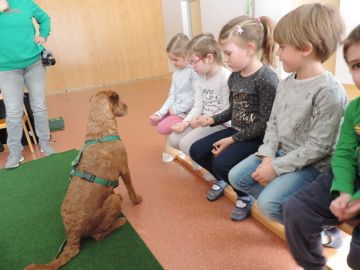 Alle Fotos von Maximilian Hörbiger