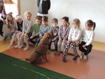 Alle Fotos von Maximilian Hörbiger