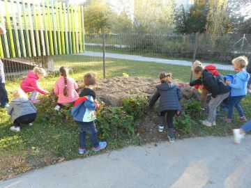 FOTO: Vordermaier Ingrid