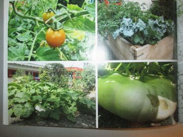 Foto: Martina Wiedhölzl