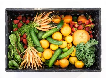 Foto: Pixabay 924937