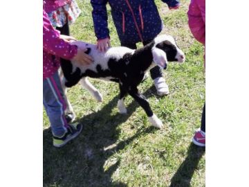 Emma beim Erkunden unseres Gartens. - Julia M.