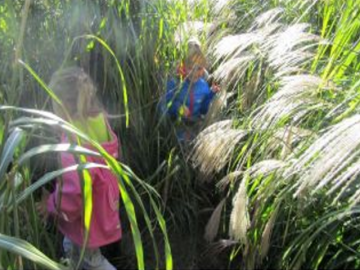 Foto: Martina Steiner