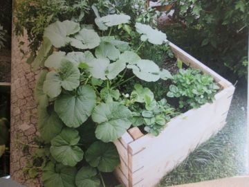 Foto: Martina Wiedhölzl