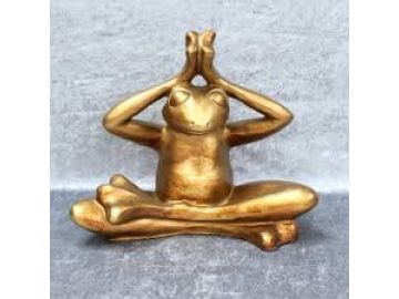 Bewegte Zeiten YOGI unser Yogafrosch