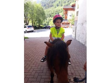 Fotos: Monika Altenberger, Simone Schwab