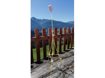 Foto: Monika Lohniger- Nocker