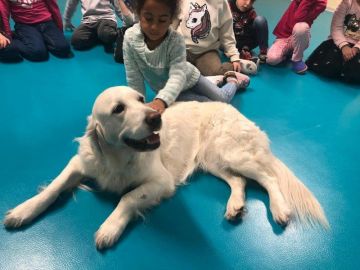 Foto: Stephanie Roth