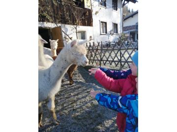 Bilder: Jasmin Rauchegger