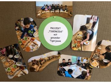 Vorstellen unserer Aktivitäten...Fotos verlocken zum genauen Hinschauen, Foto:Maria Gstöttner