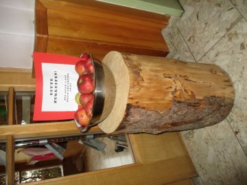 Foto: Viktoria Wenninger