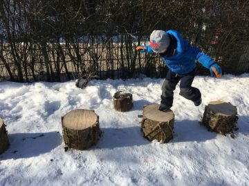 Bewegungsbaumstämme, Foto:Daniela Zambelli