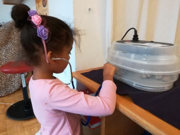 Inkubator Foto: Michaela Meisl