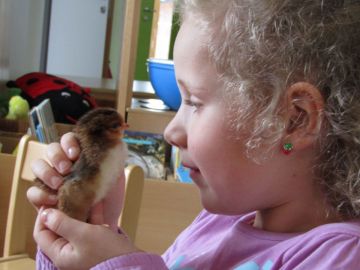 unglaublich, neues Leben in der Hand zu halten Foto: Eveline Kreyca