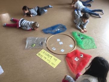 Wie bewegt sich die Eidechse fort und wie übersteht sie den Winter? (Foto: Nina Messner)