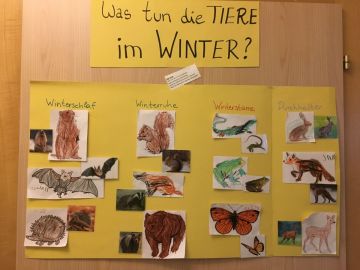 Was machen Tiere im Winter? (Foto: Nina Messner)