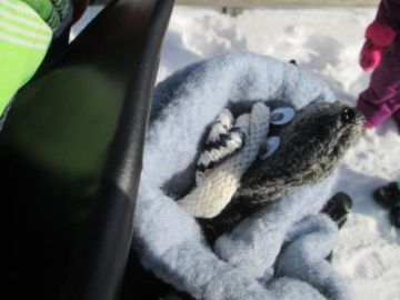 Fexi, warm eingepackt im Rucksack.