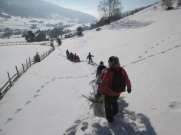 Verschiedene Spuren im Schnee.