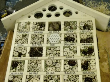 Foto: Martina Wiedhölzl