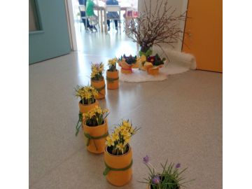 Foto: Monika Lohninger-Nocker