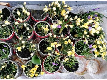 Foto: Monika Lohninger-Nocker