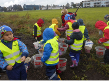 Kartoffelernte Foto: Ingrid Vordermaier