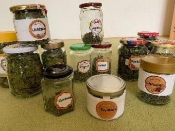 Kräutergarten, Foto von Ingrid Vordermaier