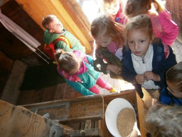 Wie wird das Korn zum Mehl?