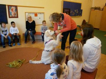 Hündin ´Tiffany´ bei der Arbeit. FOTO: Monika Mack