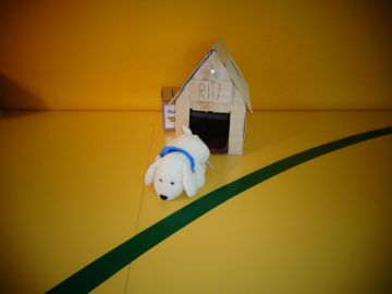 Fotonachweis: Elisabeth Macheiner