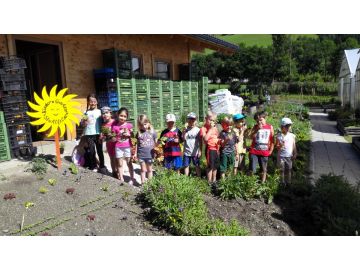 Unser Salat und Kräuterbeet