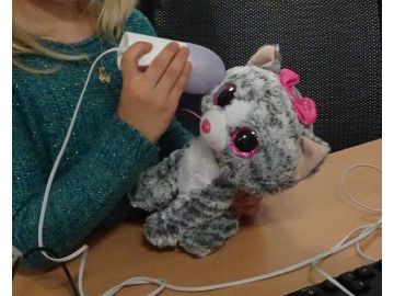 Foto:Michaela Meisl Michaela Meisl