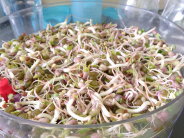 Foto: Kathrin Hettegger