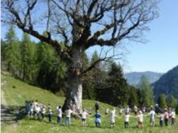 Bild des Benutzers KG Dorfgastein