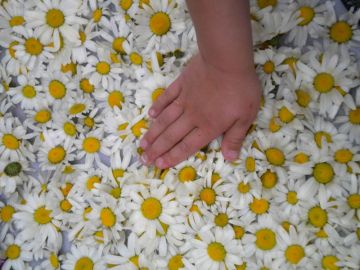 Bild des Benutzers KG Mauterndorf