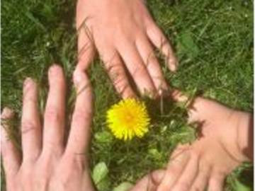 Bild des Benutzers KG Löwenzahn KOKO