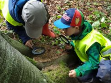 Bild des Benutzers KG Mattsee