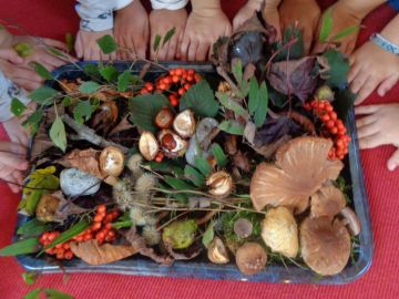 Bild des Benutzers KinderGöriach