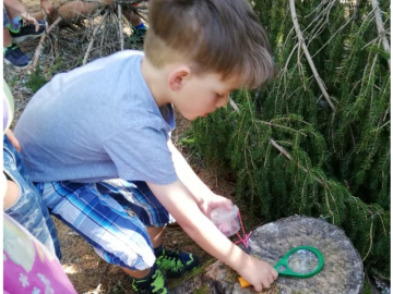 Wir erforschen den Wald mit einer Lupe. Foto: Barbara Schnell